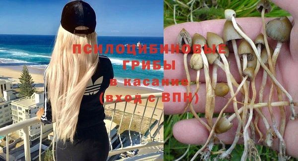 спиды Алексеевка